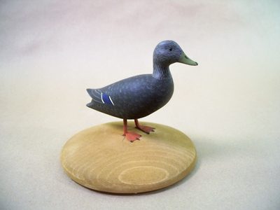 Catawba Valley Woodcarvers Woodworking Extravaganza