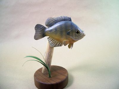 Catawba Valley Woodcarvers Woodworking Extravaganza